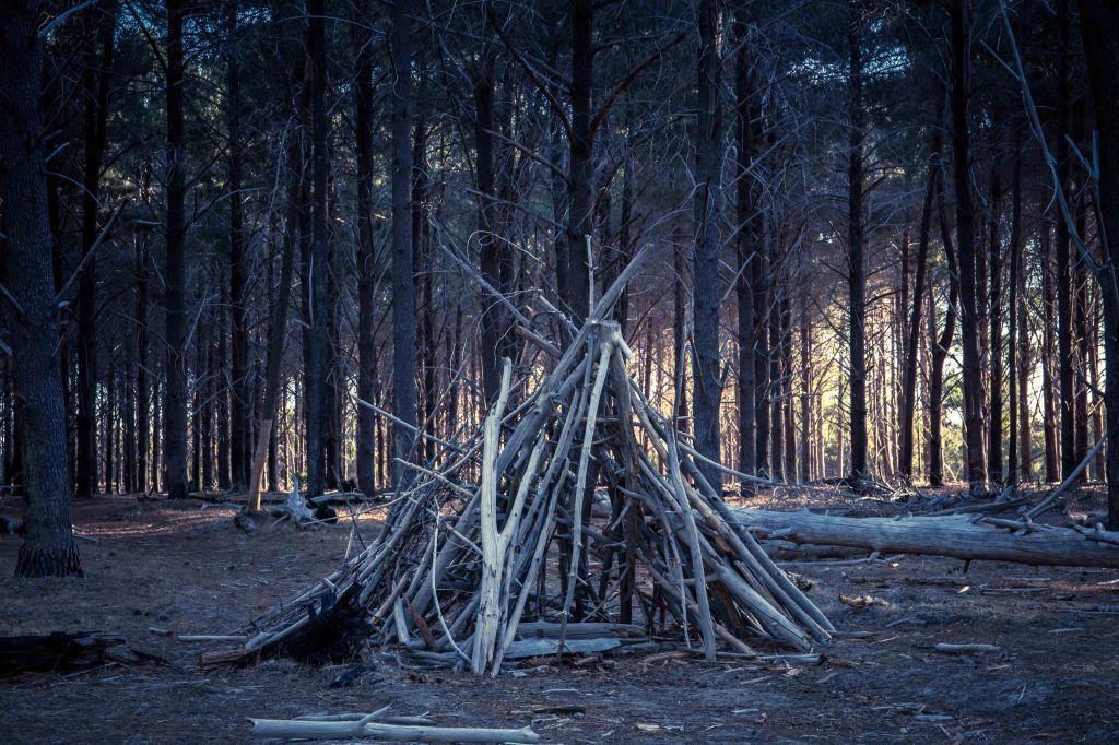 My house & the black dog